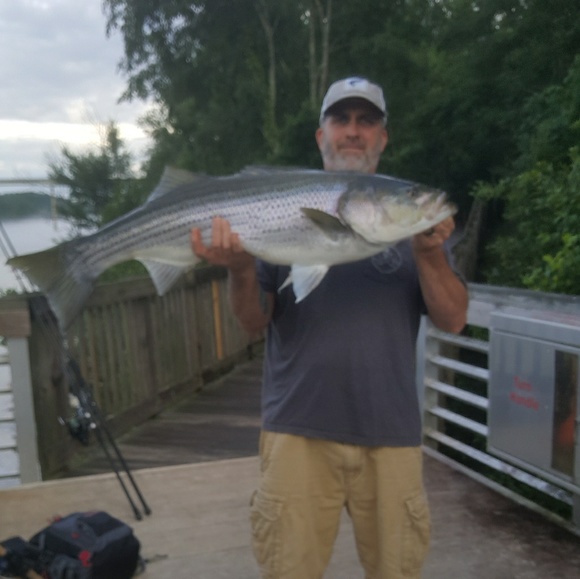 snook2big